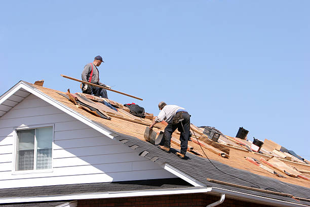 Best Sheet Metal Roofing  in Monroeville, PA